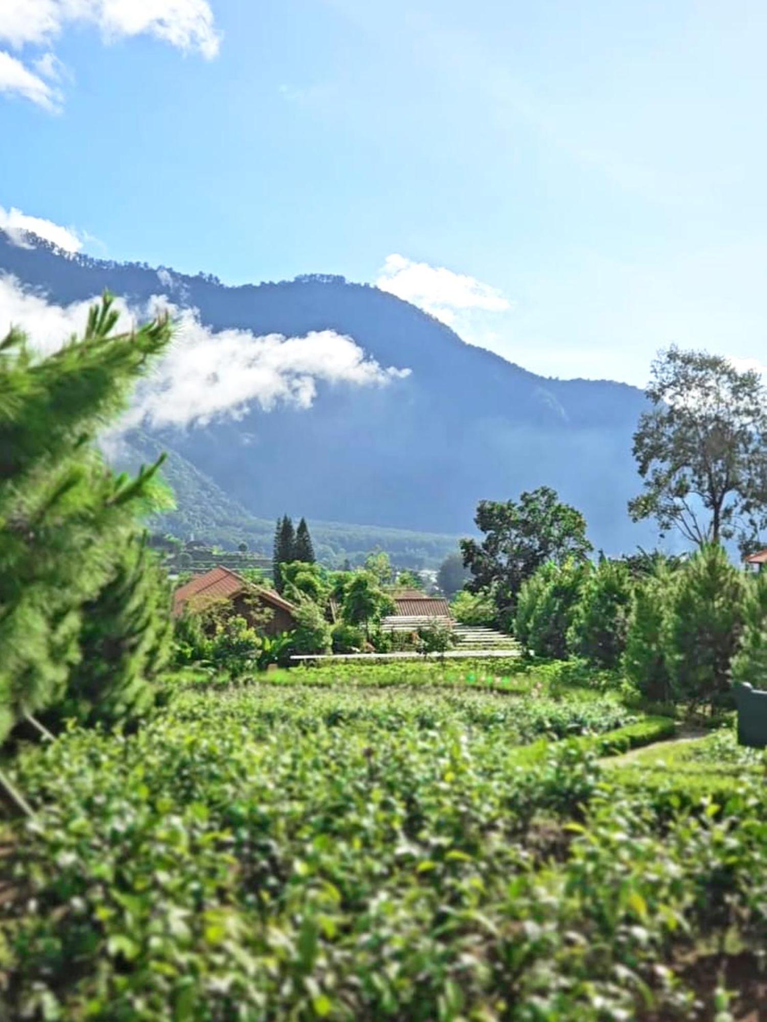 Dusun Bedugul Asri Hotel Exterior photo